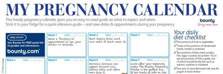 Pregnancy Guide