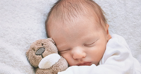 baby teddy