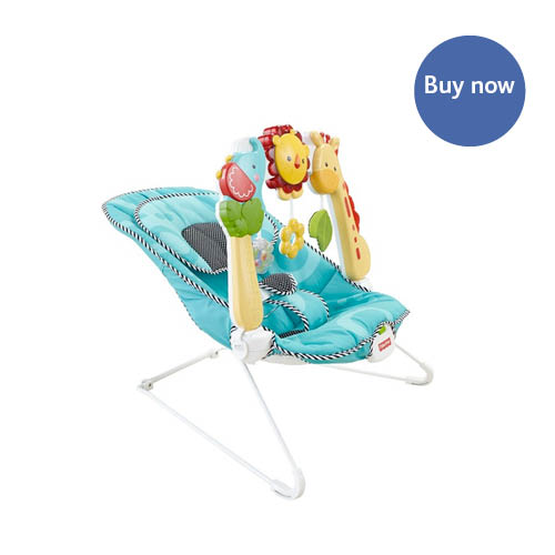 Fisher Price – 2-in-1 Sensory Stages Bouncer
