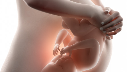 Image result for image of unborn child