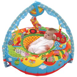 sit me up play gym