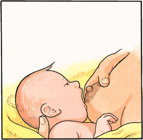 breastfeeding attachment