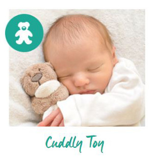Cuddly toy image