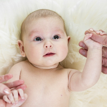 the wonder weeks for toddlers