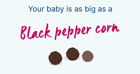 5 Weeks Pregnant Pregnancy Week By Week Bounty