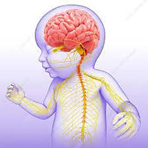 Image for hydrocephalus 474