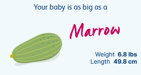 38 Weeks pregnant