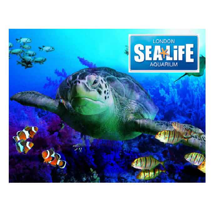 sealife-londonaquarium