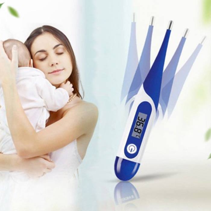 Digital Oral LCD Thermometer - 2 Colours